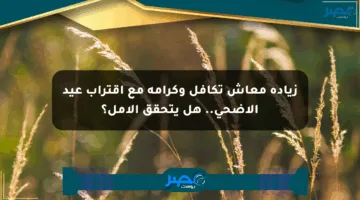 زيادة معاش تكافل وكرامة مع اقتراب عيد الأضحى.. هل يتحقق الأمل؟